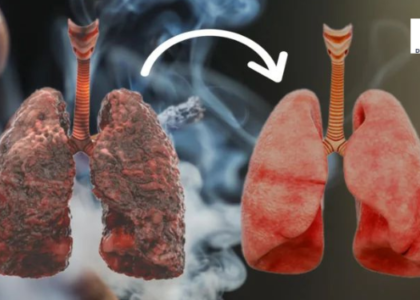 Learn how smoking and excessive alcohol affect lung health, increase respiratory infection risks, and contribute to TB. Discover pulmonary care, TB treatment, and prevention tips.